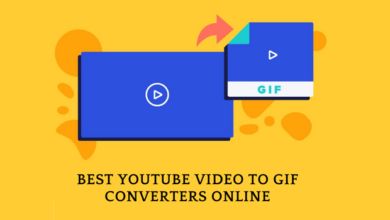 Best YouTube to GIF Converters