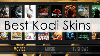 Kodi Skins